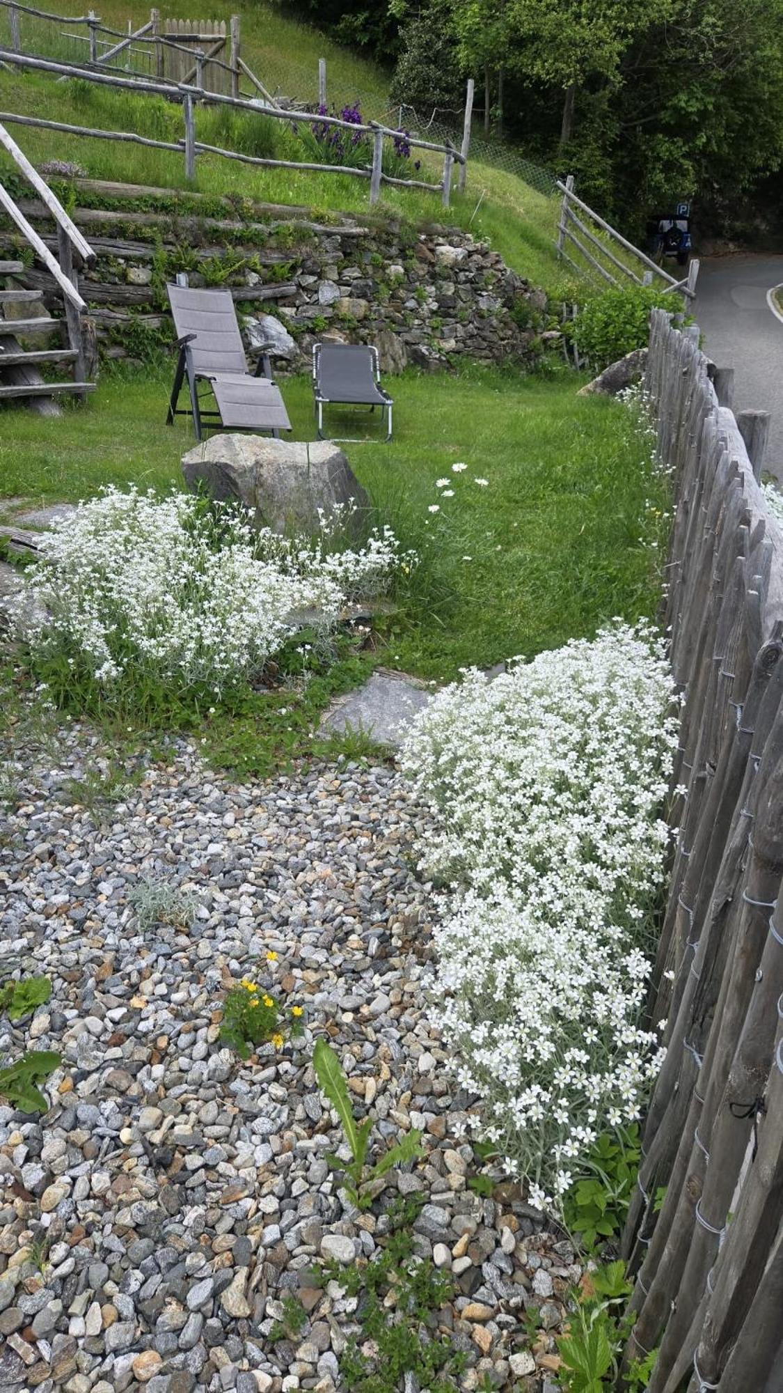 Casa Poiana Villa Ronco sopra Ascona Luaran gambar